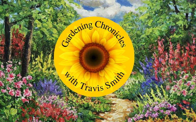 Gardening Chronicles with Travis Smith - Edition Two