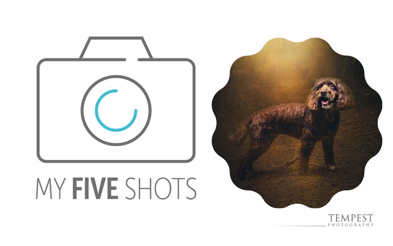 My Five Shots - Melanie Worton